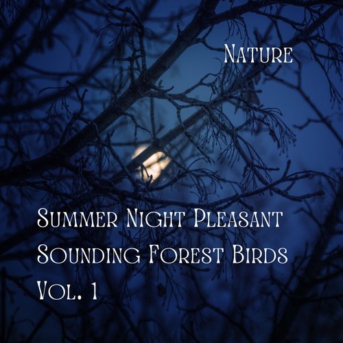 Nature Sounds Nature cover art