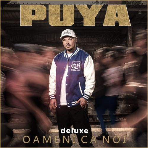 Vulpu' Din Salajan