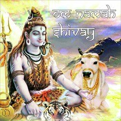 Rameshbhai Ozha profile photo
