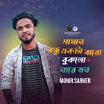 Pashan Bondhu Akta Baro Bujle Nare Mon