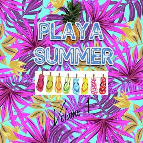 Playa summer, vol. 1 (La compilation qui donne chaud !)_poster_image