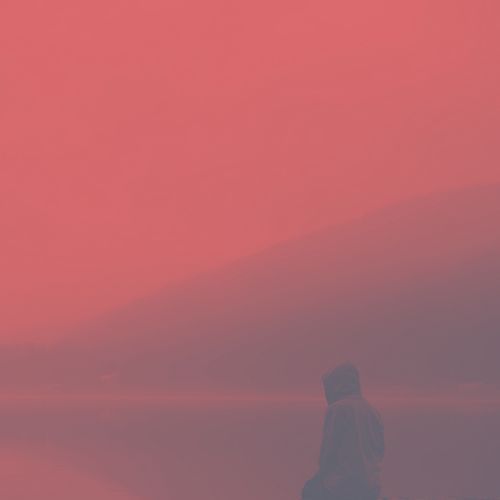 Selavi cover art