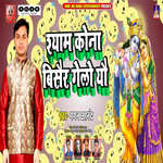 Shyam Kona Bisaur Gelau Yau