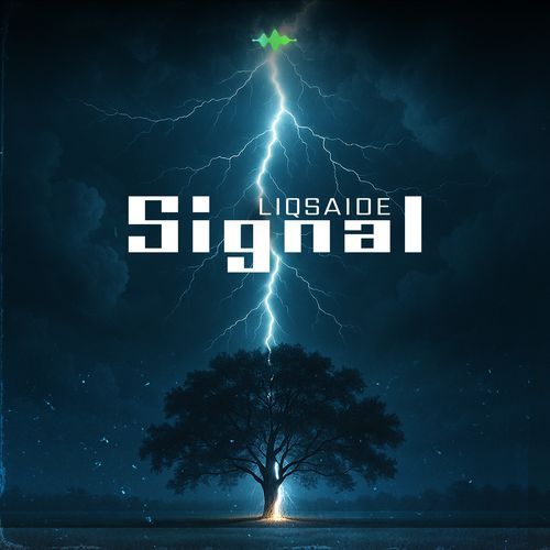 Signal