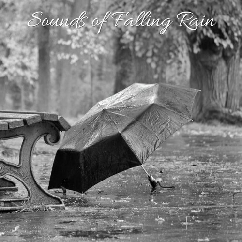 Sound of Falling Rain