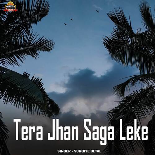 Tera Jhan Saga Leke