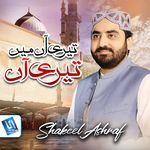 Teri Aan Me Teri Aan