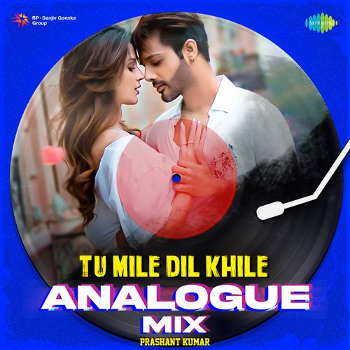 Tu Mile Dil Khile Analogue Mix
