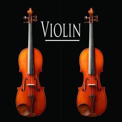 Violin