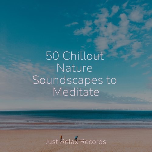 50 Chillout Nature Soundscapes to Meditate