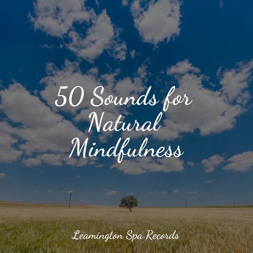 50 Sounds for Natural Mindfulness