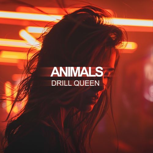 Animals (Drill)