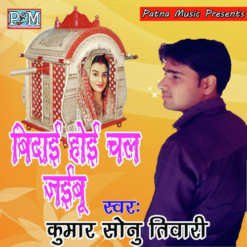 Bidaai Hoi Chal Jaibu_poster_image