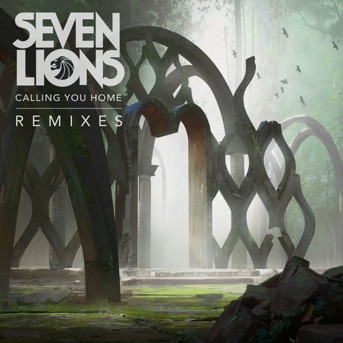 Calling You Home (Remixes) (feat. Runn)