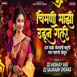 Chimni Majhi Udun Geli