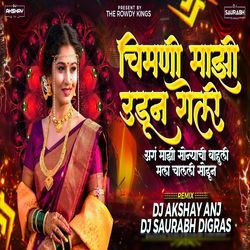 Chimni Majhi Udun Geli