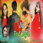 Dil Tod Diya