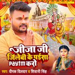 Jija Ji Jilebi Ke Paisa Paytm Karo artwork