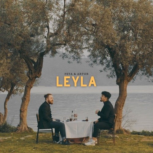 Leyla_poster_image