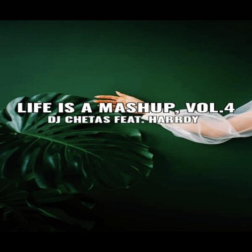 Life Is a Mashup, Vol. 4 - Cover - BeatsBajao