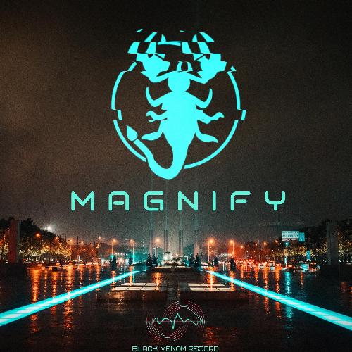 Magnify_poster_image