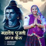 Mahadev Pujati Araj Karu