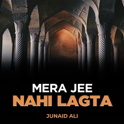 Mera Jee Nahi Lagta