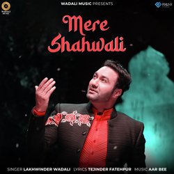 Mere Shahwali-Mx0BUj4BfEQ