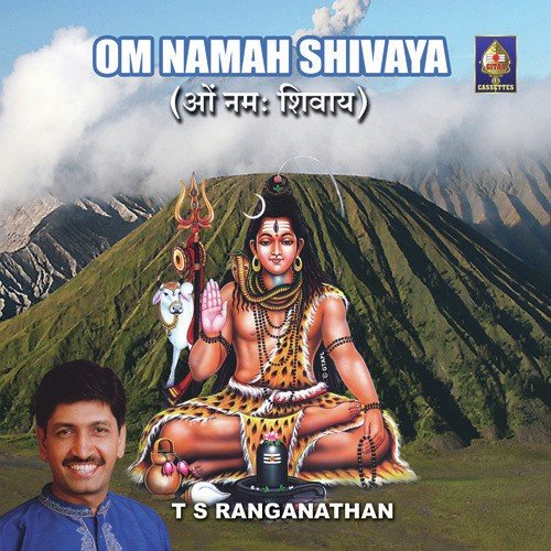 Om Namah Shivaaya