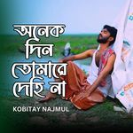 Onekdin Tomare Dehina (Poetry)