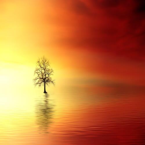 Relaxing music for sleep