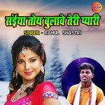 Saiyan Toye Bulawe Teri Pyari