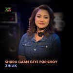 Shudhu Gaan Geye Porichoy