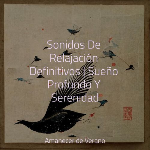 Sonidos De Relajación Definitivos | Sueño Profundo Y Serenidad_poster_image