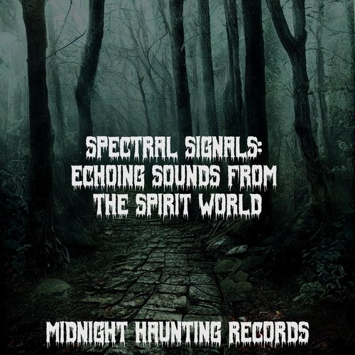 Spectral Signals: Echoing Sounds from the Spirit World_poster_image