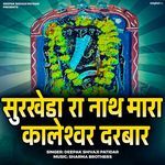 Surkheda Ra Naath Mara Kaleshwar Darbar