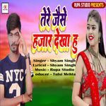 Tere Jaisa Hazar Dekha Hu