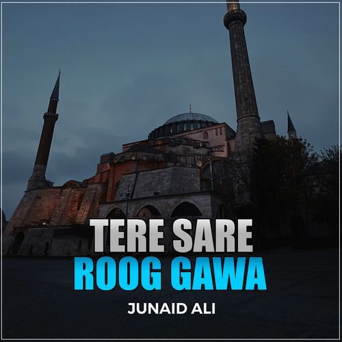 Tere Sare Roog Gawa