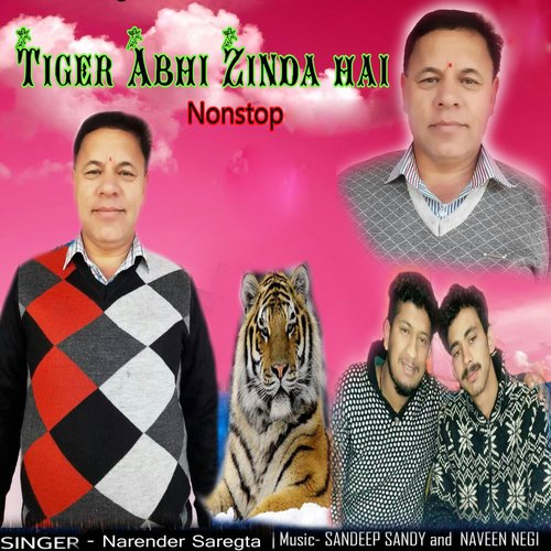 Tiger Abhi Zinda Hai Nonstop