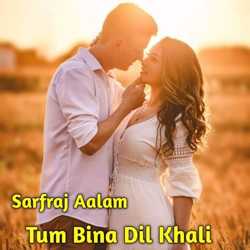 Tum Bina Dil Khali