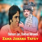 Zama Janana Tapay