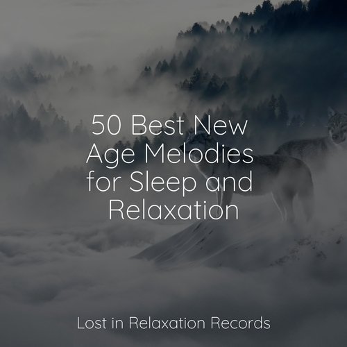 50 Best New Age Melodies for Sleep and Relaxation