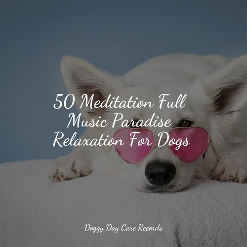 Meditating Music cover art