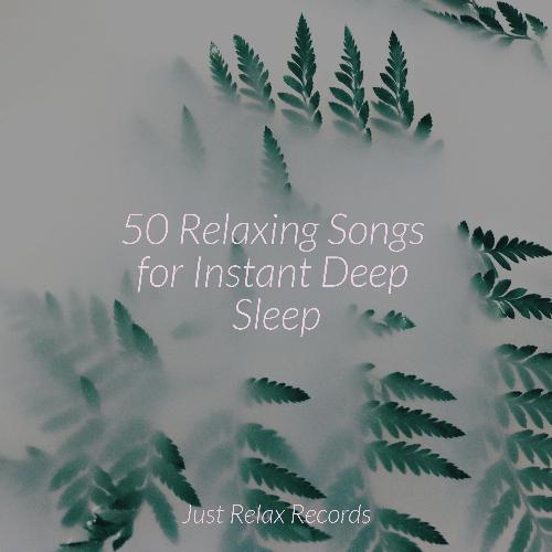 50 Relaxing Songs for Instant Deep Sleep