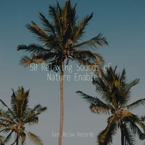 Sacred Chants of Eternity cover art