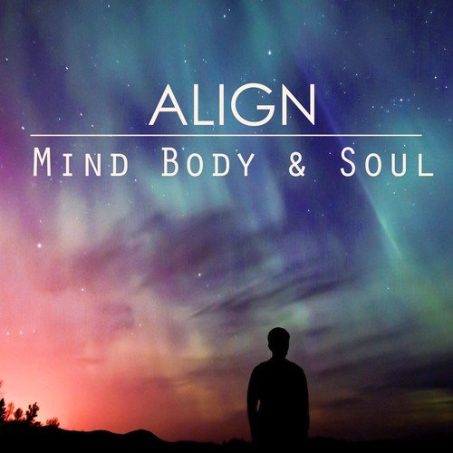 Align Mind Body & Soul - Asian Meditation Music for Chakra Alignment and Mindfulness Meditations