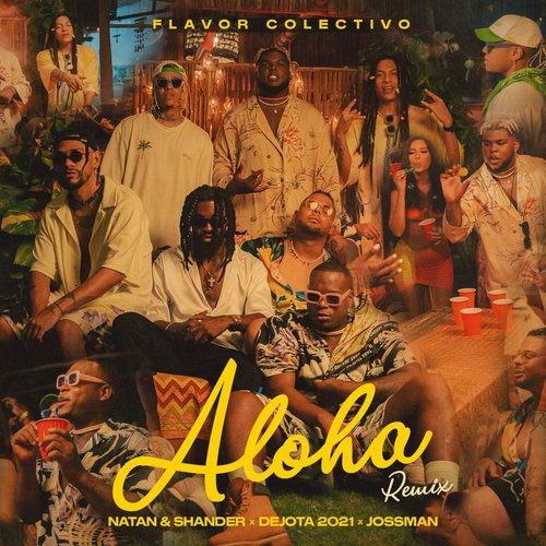 Aloha Remix_poster_image