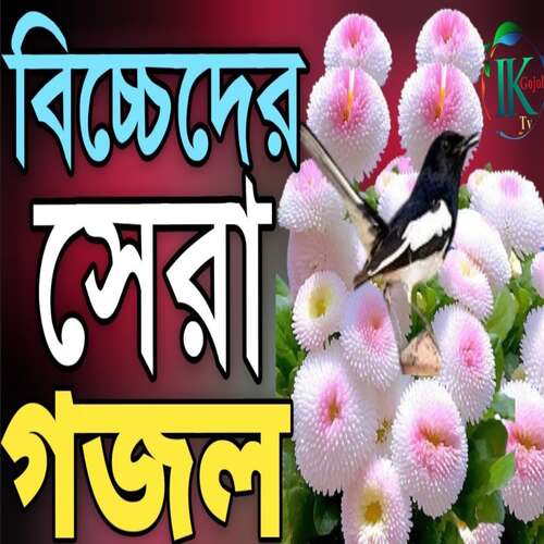 Apon Manush Boja Boro Day