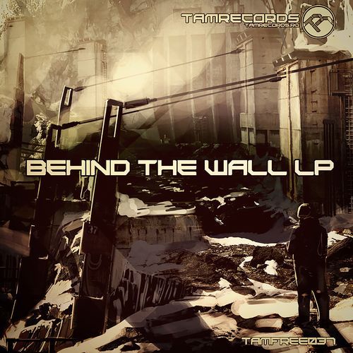 Fringe cover art