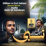 Dilbar e Gul Jahan (Slowed &amp; Reverb)